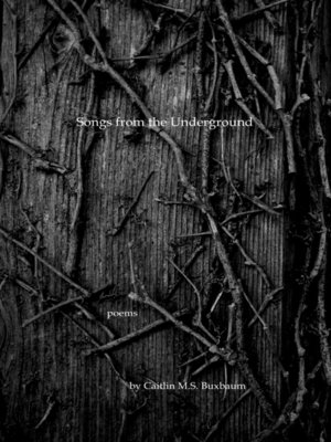 cover image of Songs from the Underground